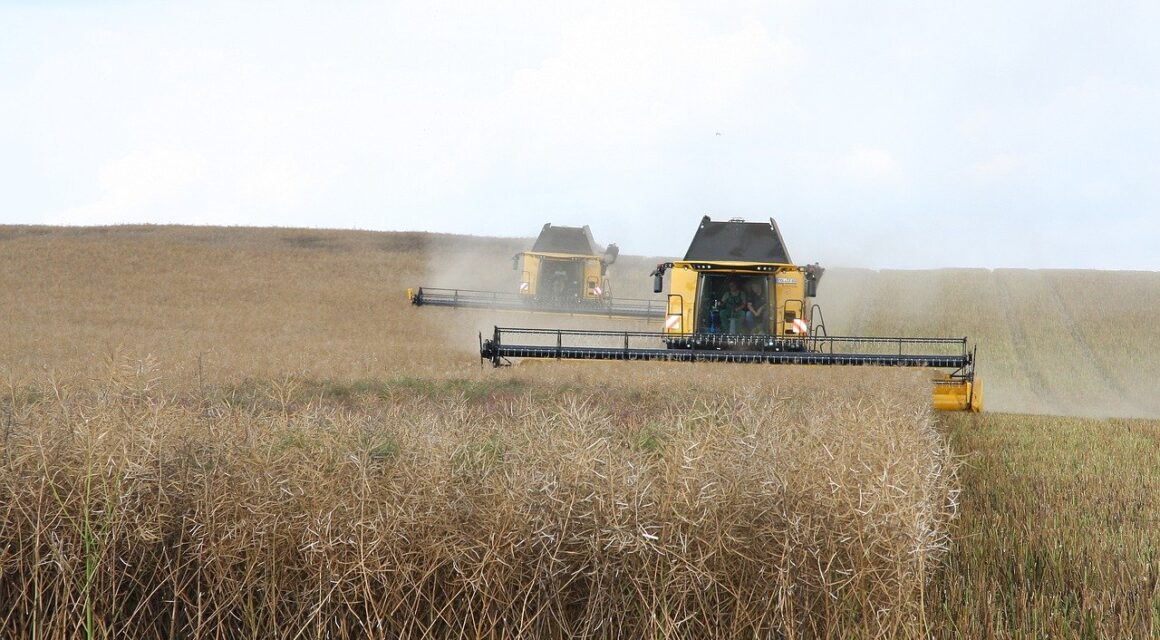 Come vendere una azienda agricola: cosa fare e come fissare il prezzo